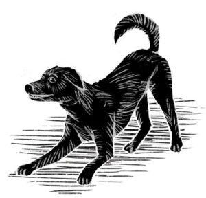 spot_dog